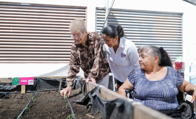 Rehabilita DIF Tamaulipas huerto comunitario en Casa Hogar del Adulto Mayor