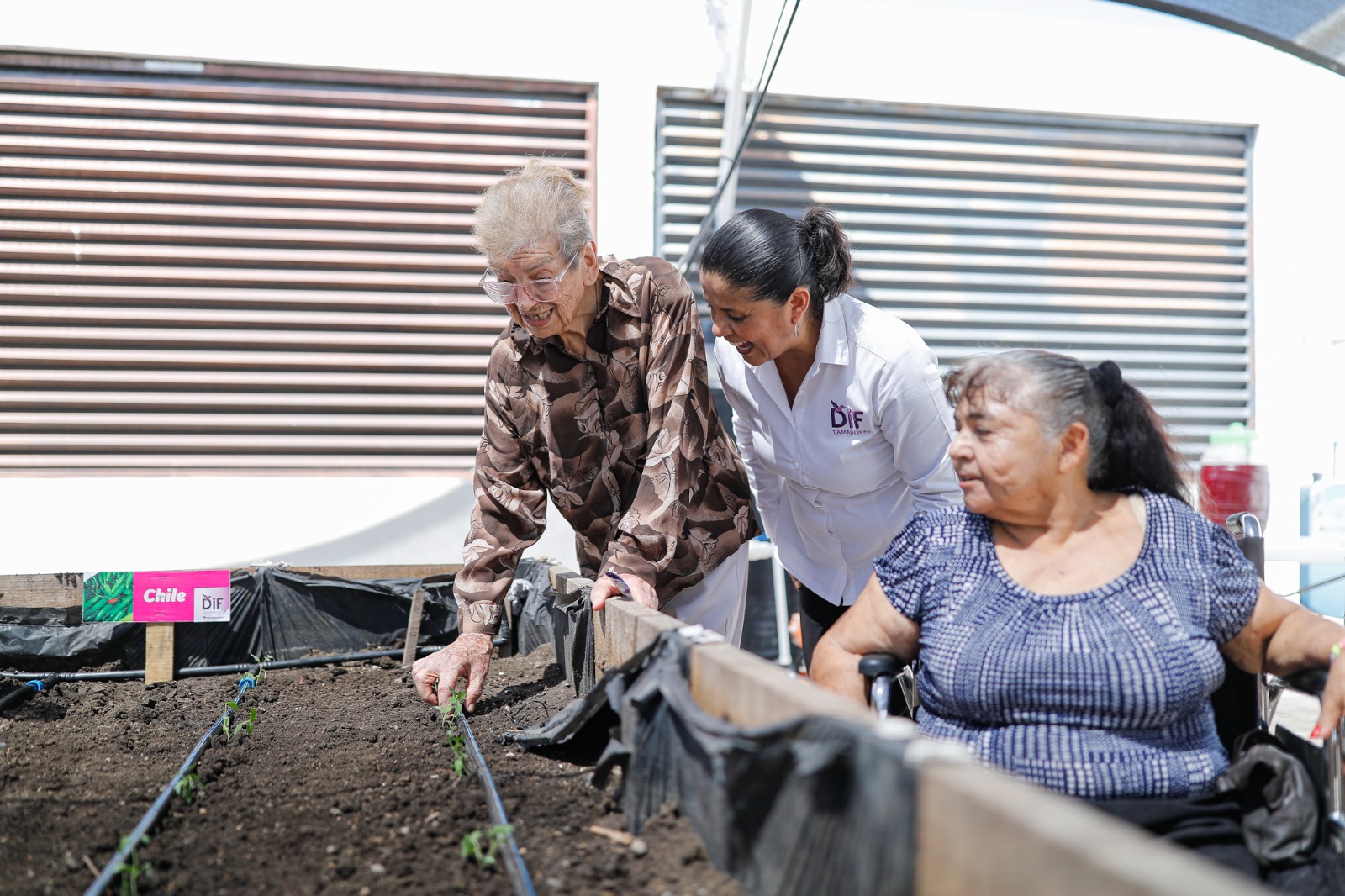 Rehabilita DIF Tamaulipas huerto comunitario en Casa Hogar del Adulto Mayor