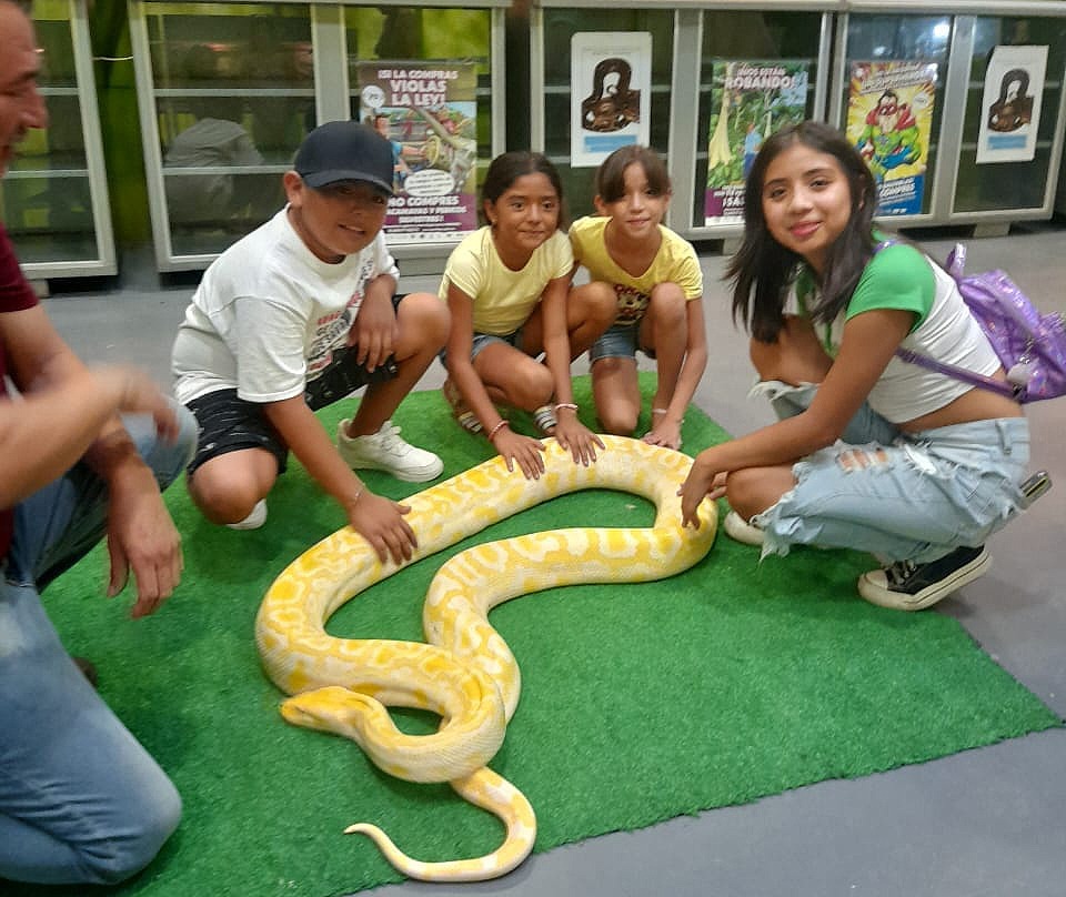 Expone Parque Ecológico de la Biósfera El Cielo especies de reptiles y anfibios a la población