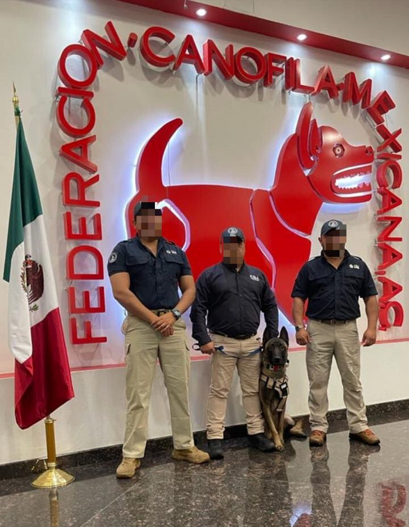 Capacitan a Unidad Canina (K9) de la Fiscalía General de Justicia del Estado de Tamaulipas