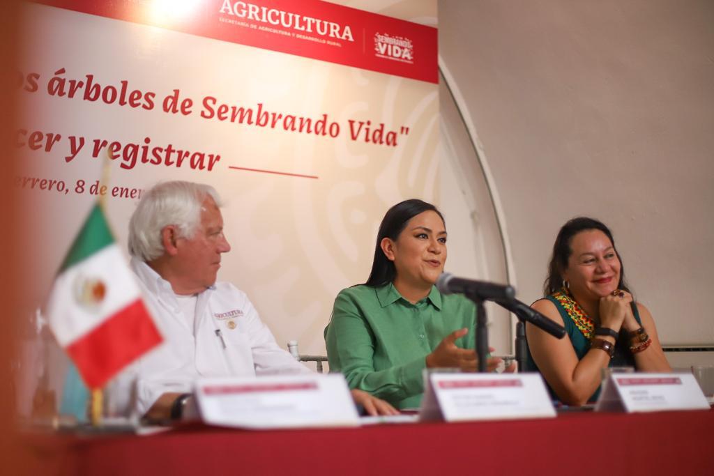 Secretarías de Bienestar, Medio Ambiente y Agricultura registran árboles y especies del programa Sembrando Vida