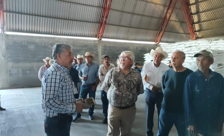 Capacita Agricultura a productores para el uso correcto de fertilizantes en Tamaulipas