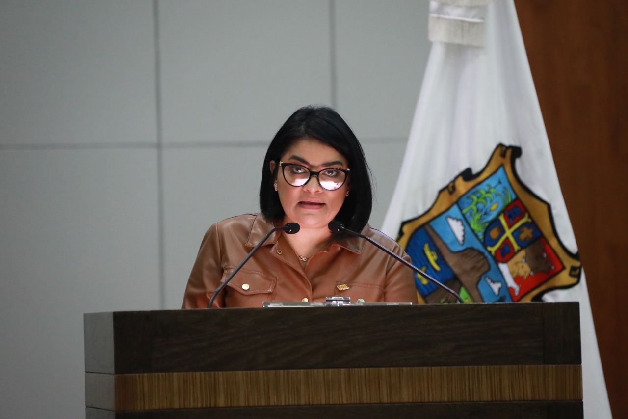 Propone Diputada Úrsula Salazar reformas para fortalecer actuación de integrantes de Ayuntamientos