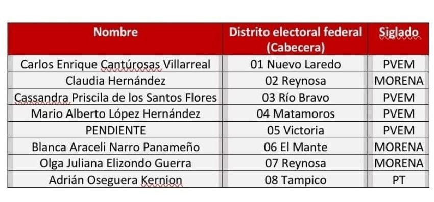 Define morena candidaturas a diputaciones federales de mayoría Relativa