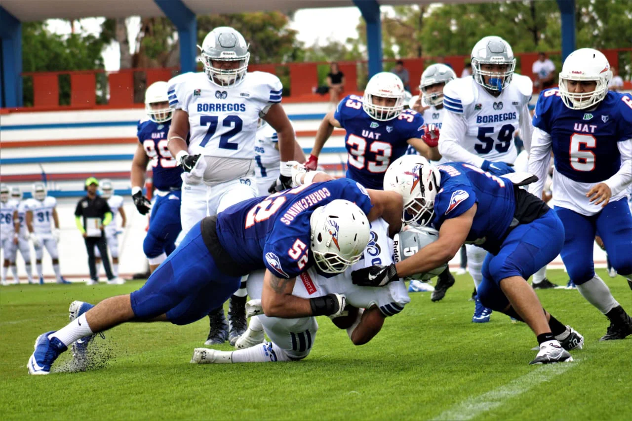 Correcaminos UAT está re regreso en Liga Mayor de ONEFA