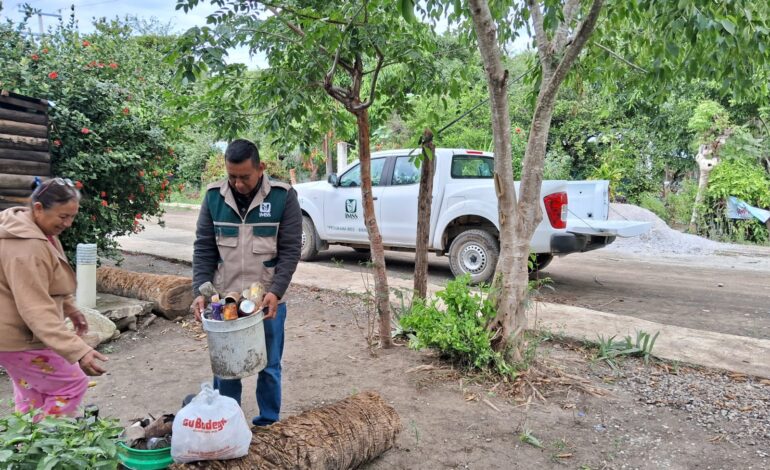 Exhorta IMSS Tamaulipas a reforzar medidas de prevención contra el dengue