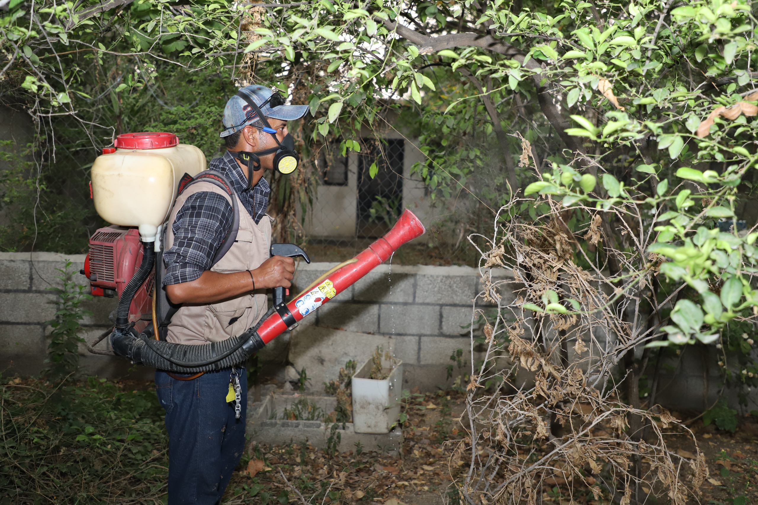 RECOMIENDA SST ELIMINAR CRIADEROS Y TIRAR CACHARROS PARA EVITAR DENGUE