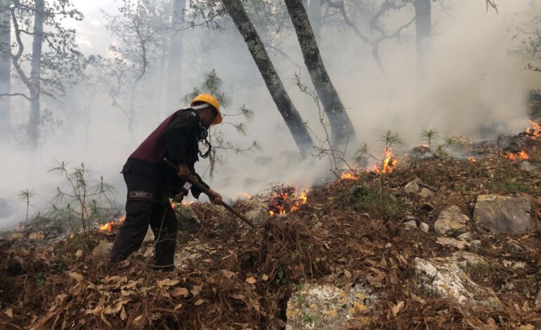 Plan Tamaulipas continúa combatiendo incendio forestal en ‘’La Chona’’