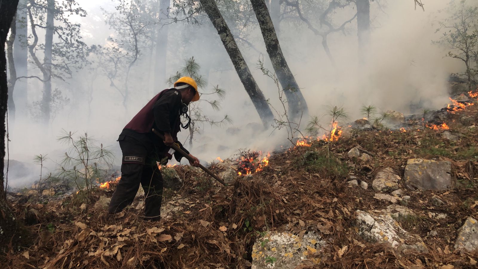 Plan Tamaulipas continúa combatiendo incendio forestal en ‘’La Chona’’