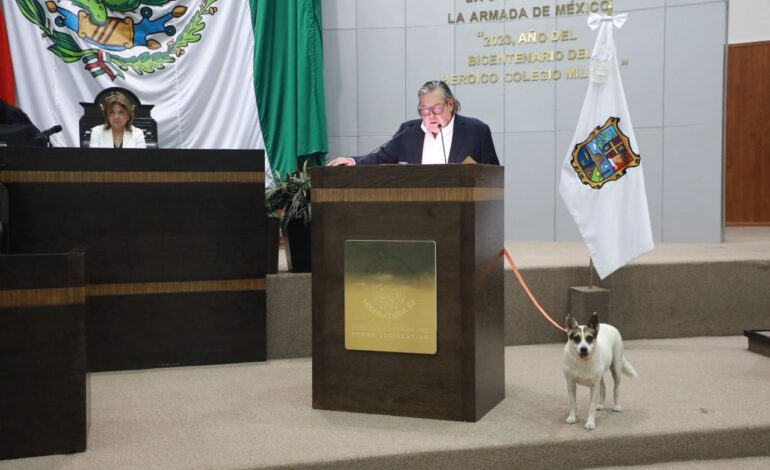 PIDE GUSTAVO CÁRDENAS QUE CONGRESO ADOPTE A “PERRITAS GUARDIANAS”