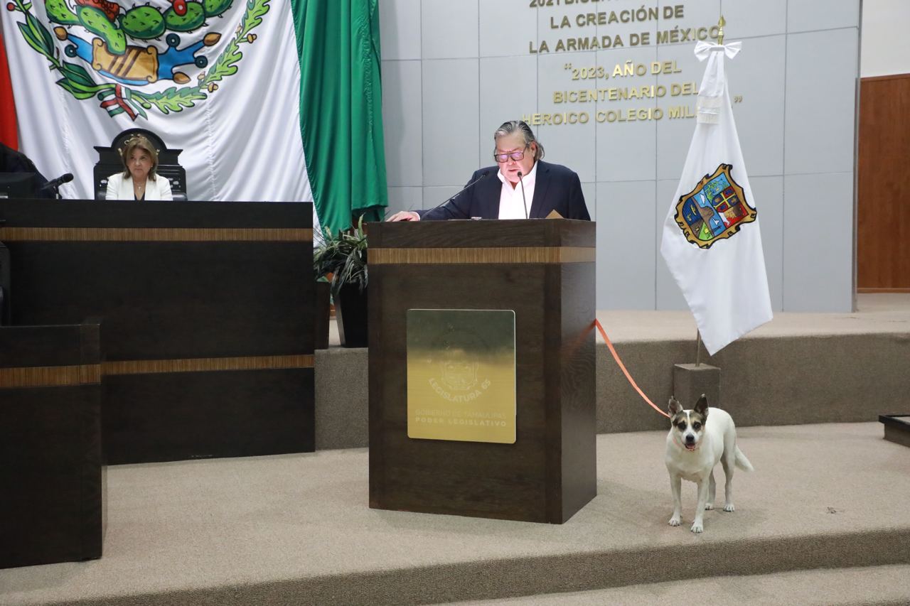 PIDE GUSTAVO CÁRDENAS QUE CONGRESO ADOPTE A “PERRITAS GUARDIANAS”