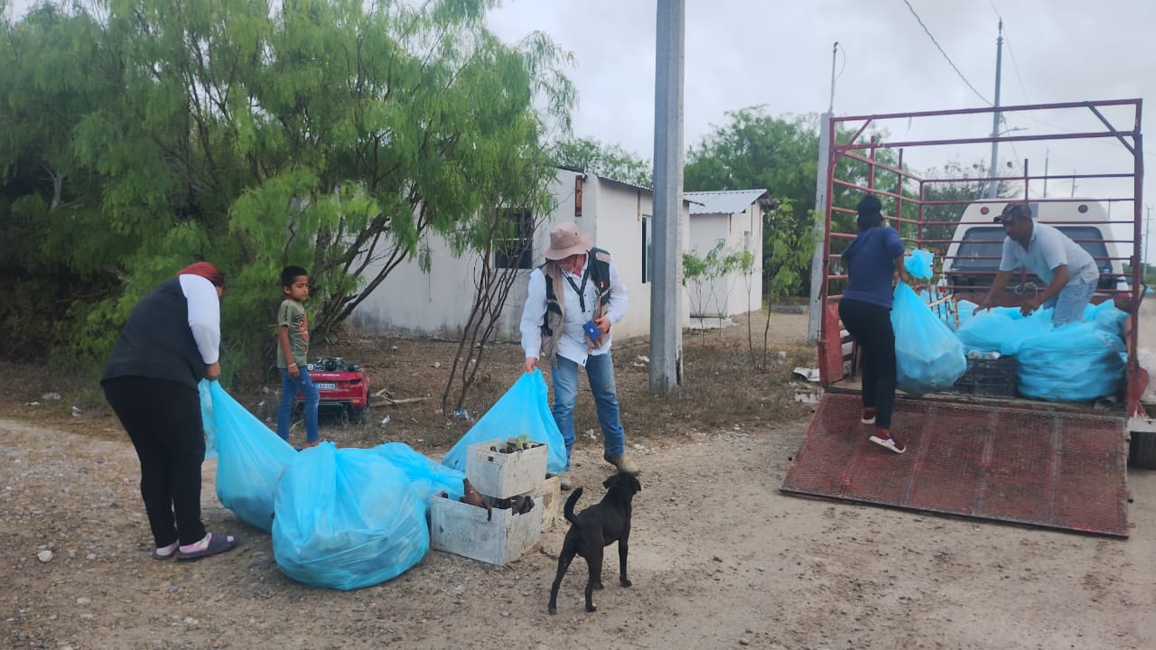 IMSS Tamaulipas promueve acciones para prevenir el dengue