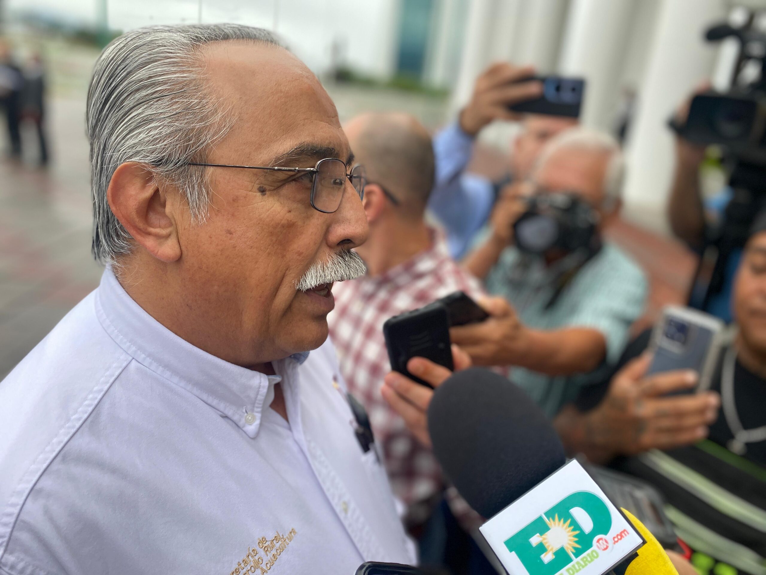 ”Lluvias benefician al campo tamaulipeco”; Varela Flores