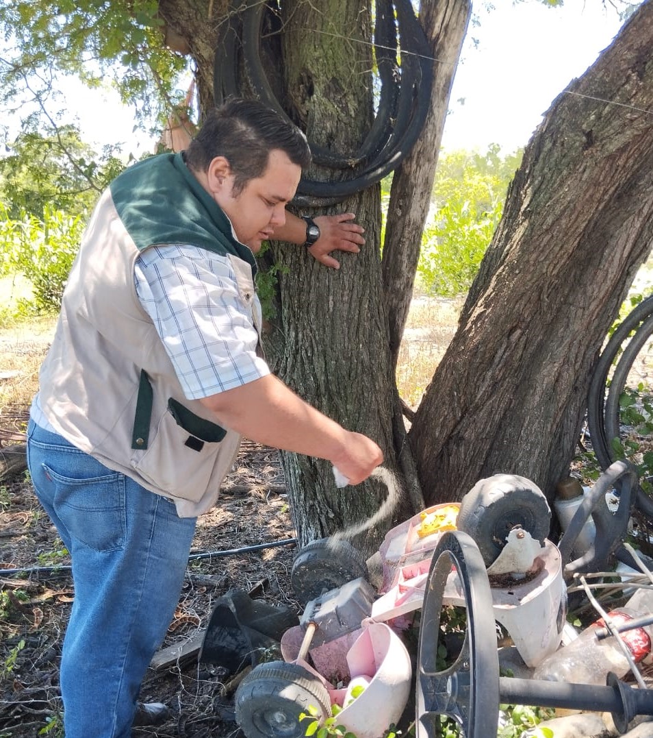 Llama IMSS Tamaulipas a reforzar medidas de prevención contra dengue