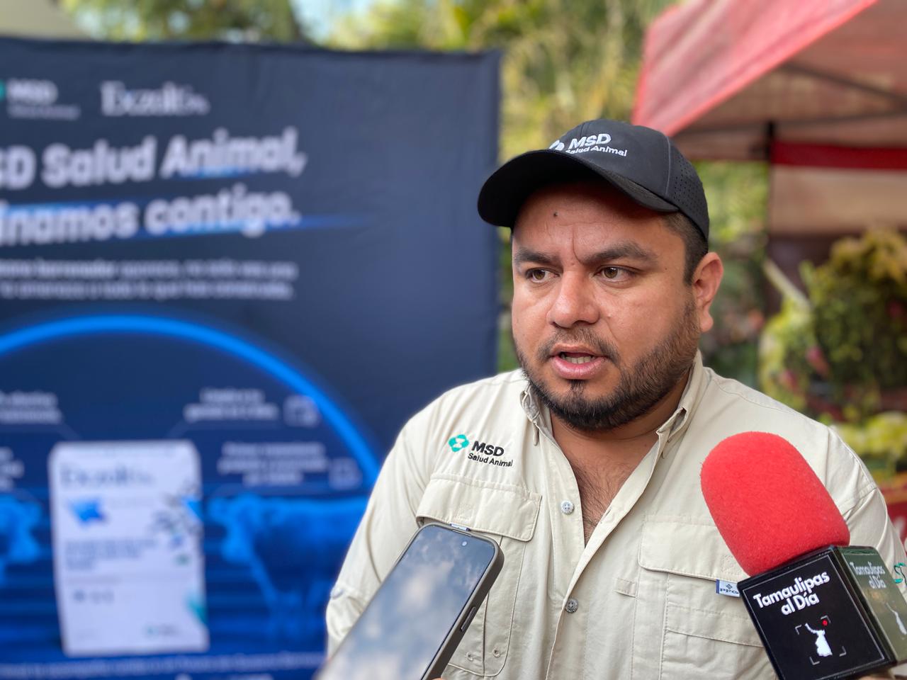 Destacan eficacia de Exzolt solución pour-on para el control del gusano barrenador en el ganado