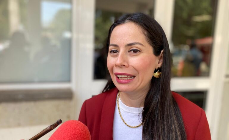 Fortalecerá Instituto de la Mujer de Tamaulipas atención a víctimas de violencia y ampliará Centros Libres