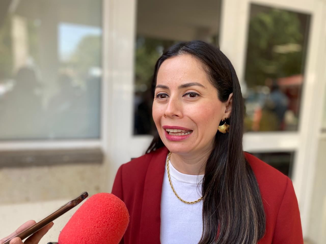 Fortalecerá Instituto de la Mujer de Tamaulipas atención a víctimas de violencia y ampliará Centros Libres