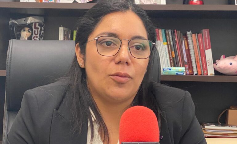 Fortalecerán marco legal para combatir violencia contra menores y mujeres: Lucero Martínez