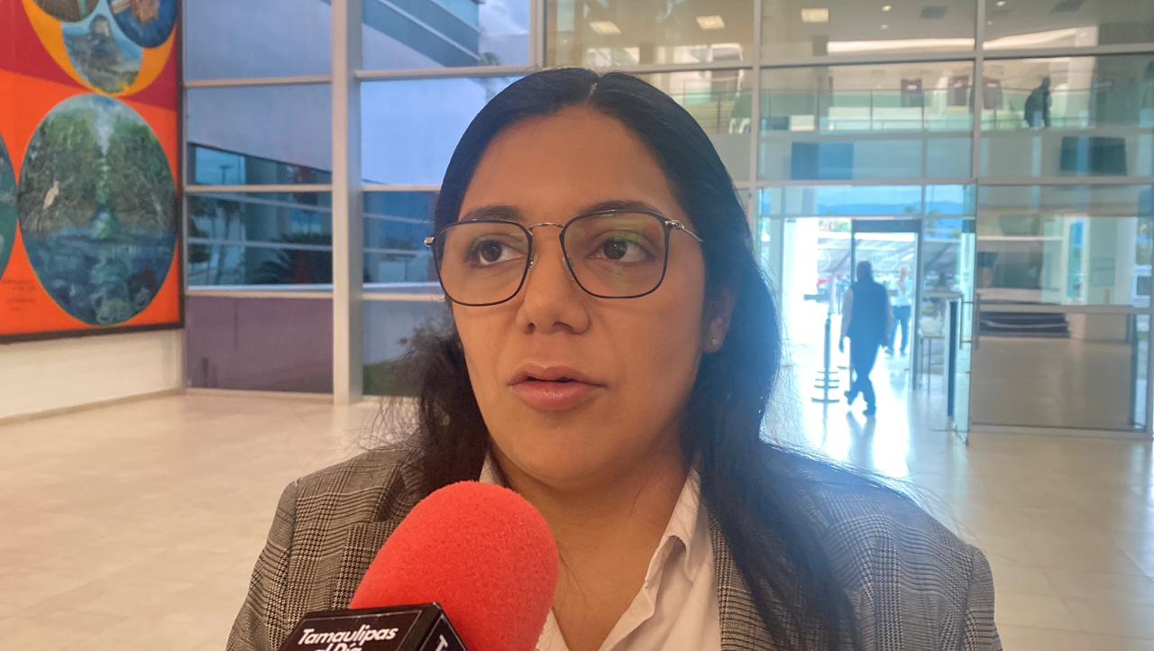 Propone diputada Lucero Martínez endurecer sanciones por accidentes viales con fuga en Tamaulipas