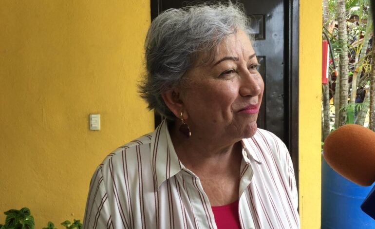 Avanza electrificación rural y programas sociales en Aldama: María Noemí Sosa