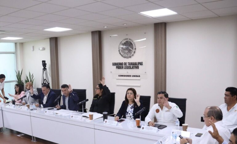 Avanza iniciativa de Ana Laura Huerta para proteger a la niñez