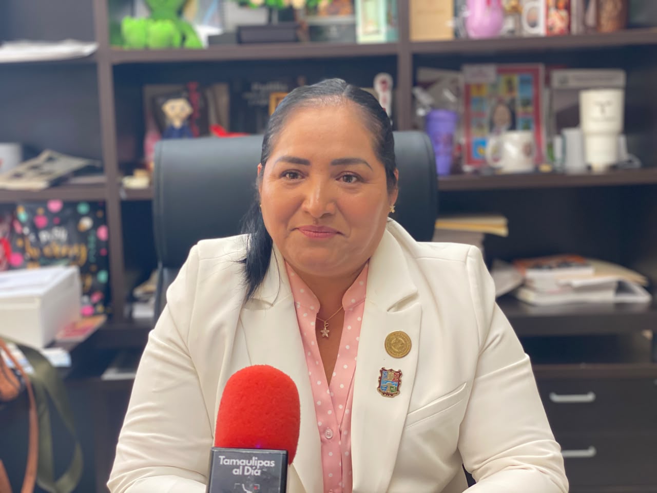Diputada de Morena asegura que ya se atiende crisis eléctrica en San Fernando