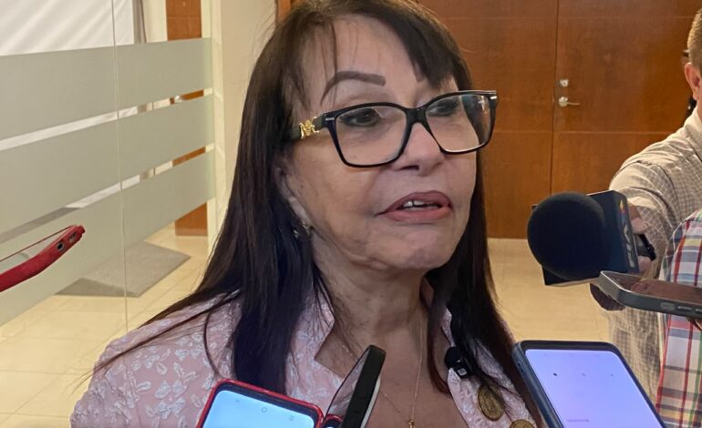 Diputada alerta rezago en comprensión lectora