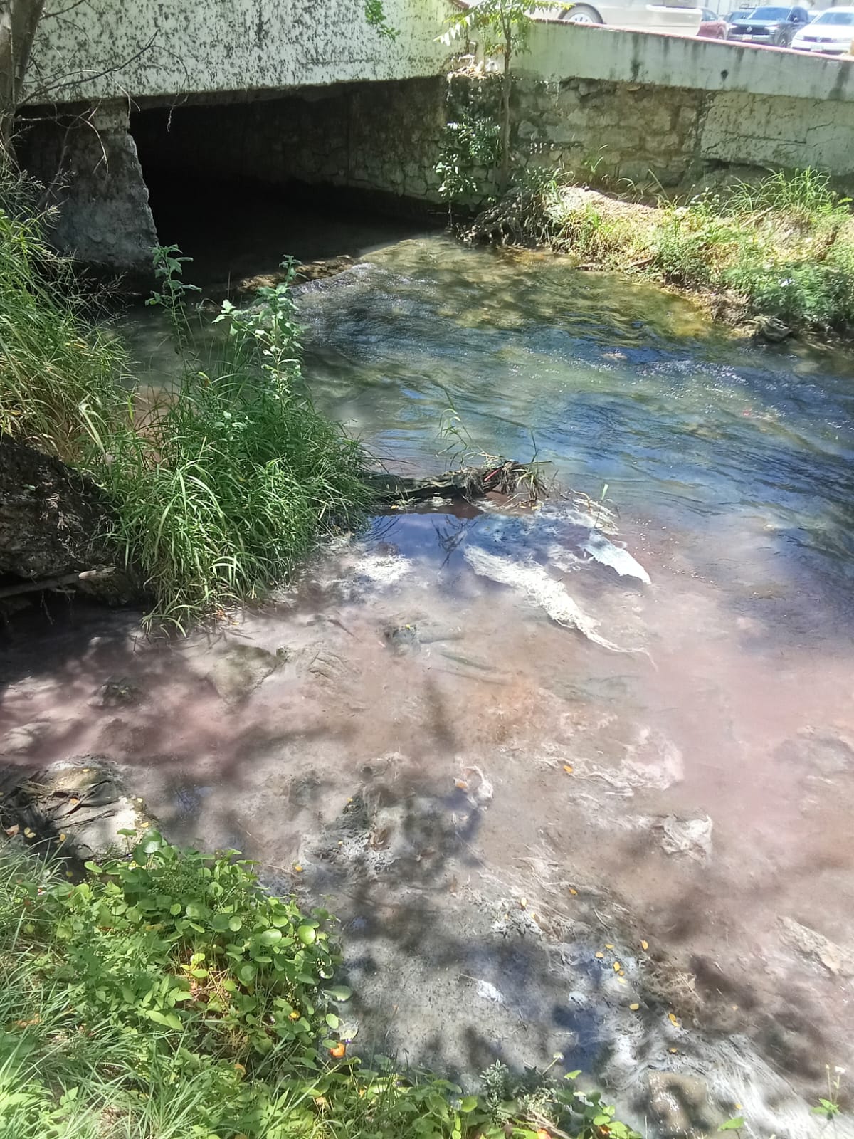 Denuncian nueva contaminación en canal de El Mante